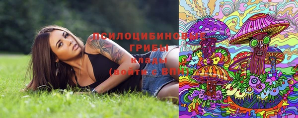 дмт Алзамай