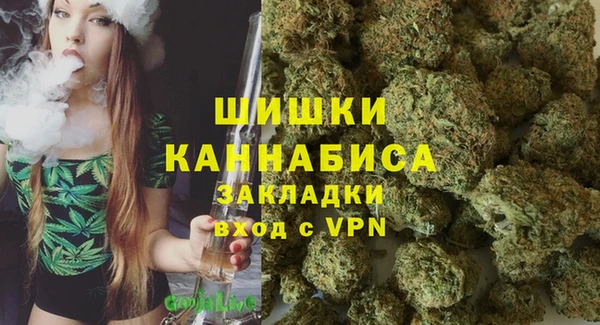 шишки Алексеевка