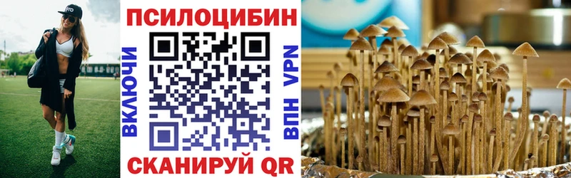 Псилоцибиновые грибы GOLDEN TEACHER  Чишмы 
